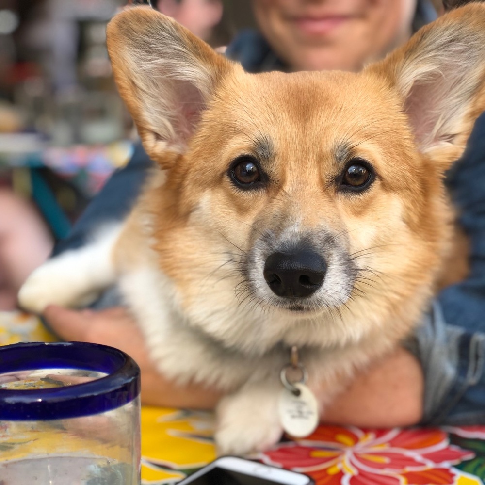 Meet your Posher, Rebecca